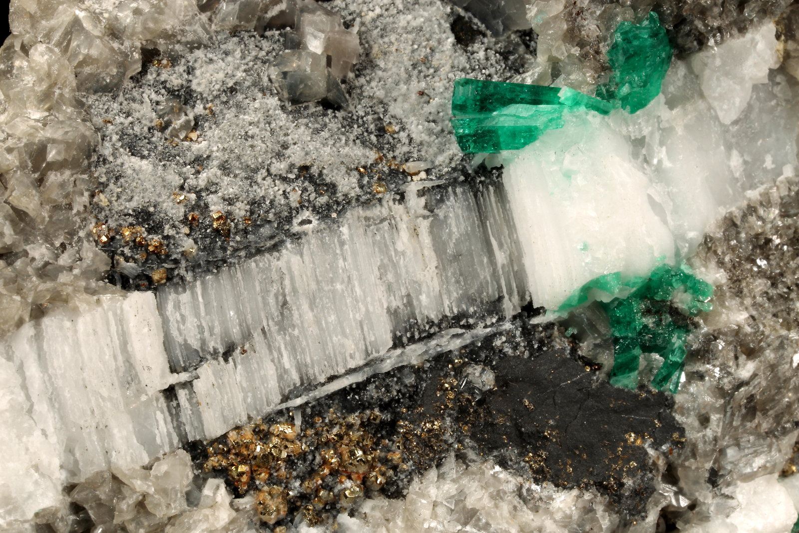 Beryl (variety emerald), Calcite, Pyrite
80x40x90mm - xls up to 8mm
(Autor: Fiebre Verde)