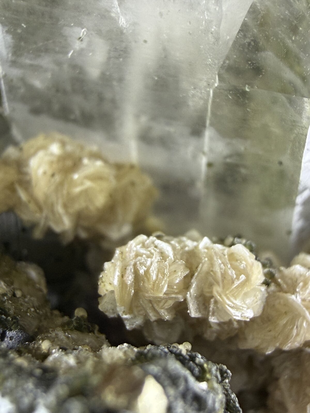 Fluorite with Mica (Group)
4.5x3cm
(Autor: QT.JojoGuo)