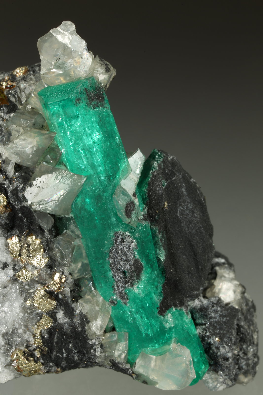 Beryl (variety emerald), Dolomite, Pyrite
29x45x27mm, xl=34mm
(Autor: Fiebre Verde)