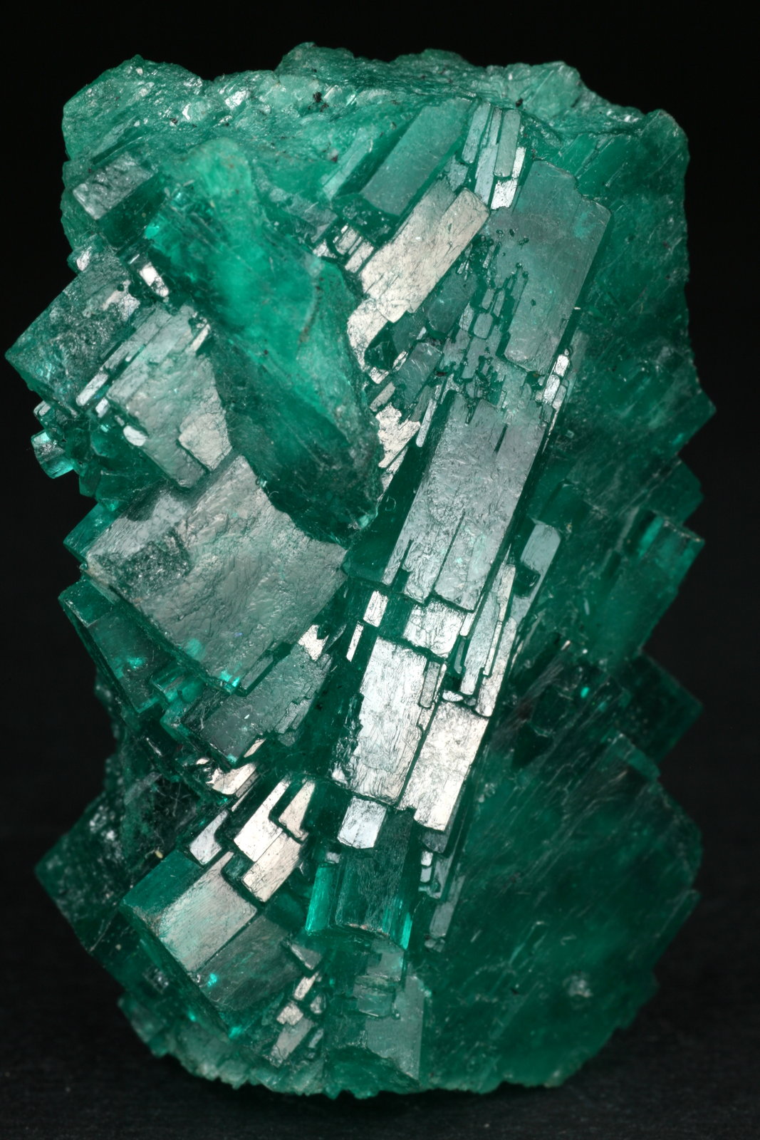 Beryl (var. emerald)
40x26x15mm
(Autor: Fiebre Verde)