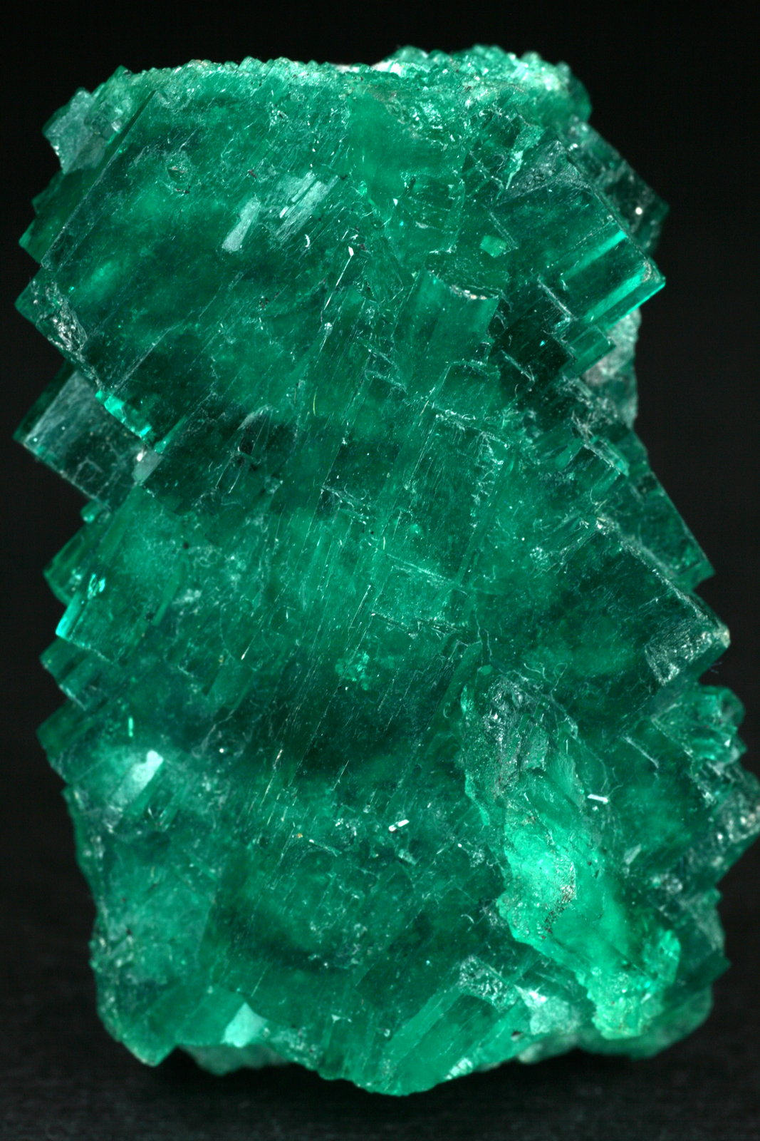 Beryl (var. emerald)
40x26x15mm
(Autor: Fiebre Verde)
