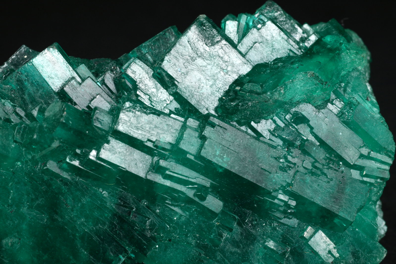 Beryl (var. emerald)
Detail - FOV=3cm
(Autor: Fiebre Verde)