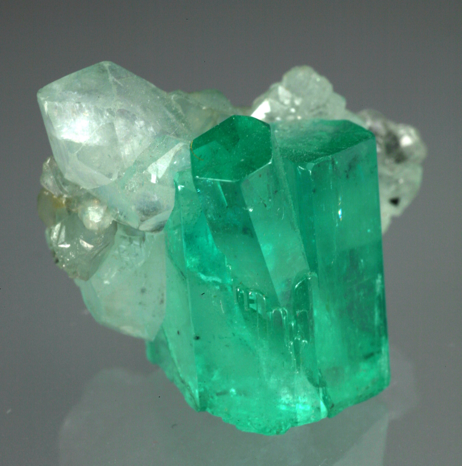 Beryl (variety emerald), Calcite
Main crystal = 13mm
(Autor: Fiebre Verde)
