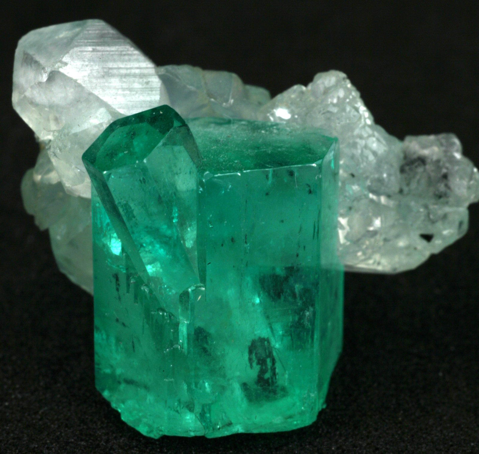 Beryl (variety emerald), Calcite
Main crystal = 13mm
(Autor: Fiebre Verde)