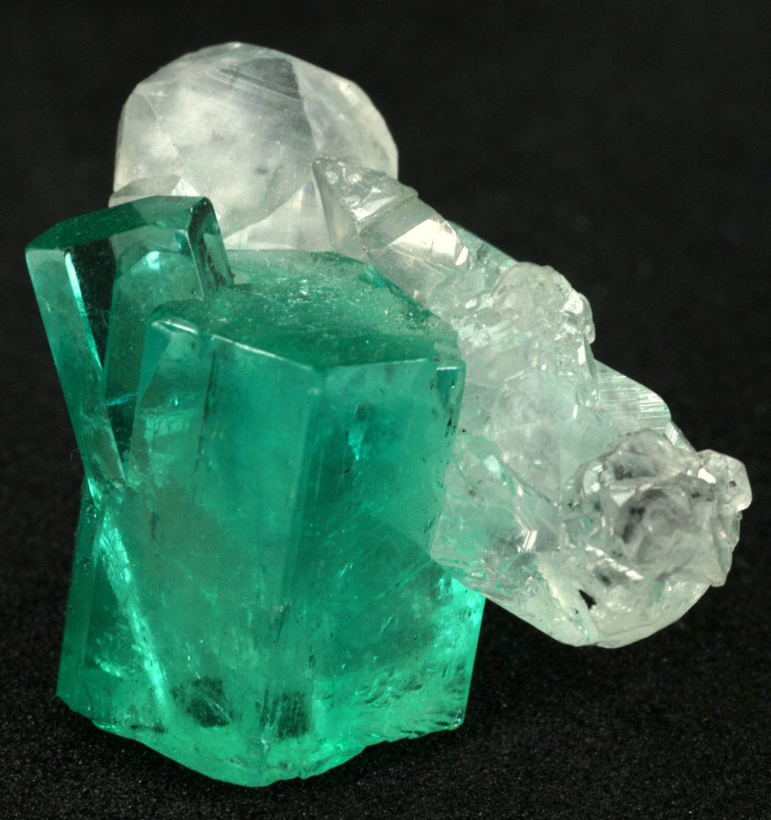Beryl (variety emerald), Calcite
Main crystal = 13mm
(Autor: Fiebre Verde)
