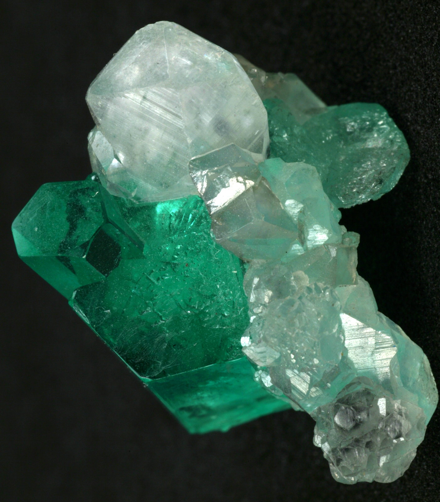 Beryl (variety emerald), Calcite
Main crystal = 13mm
(Autor: Fiebre Verde)