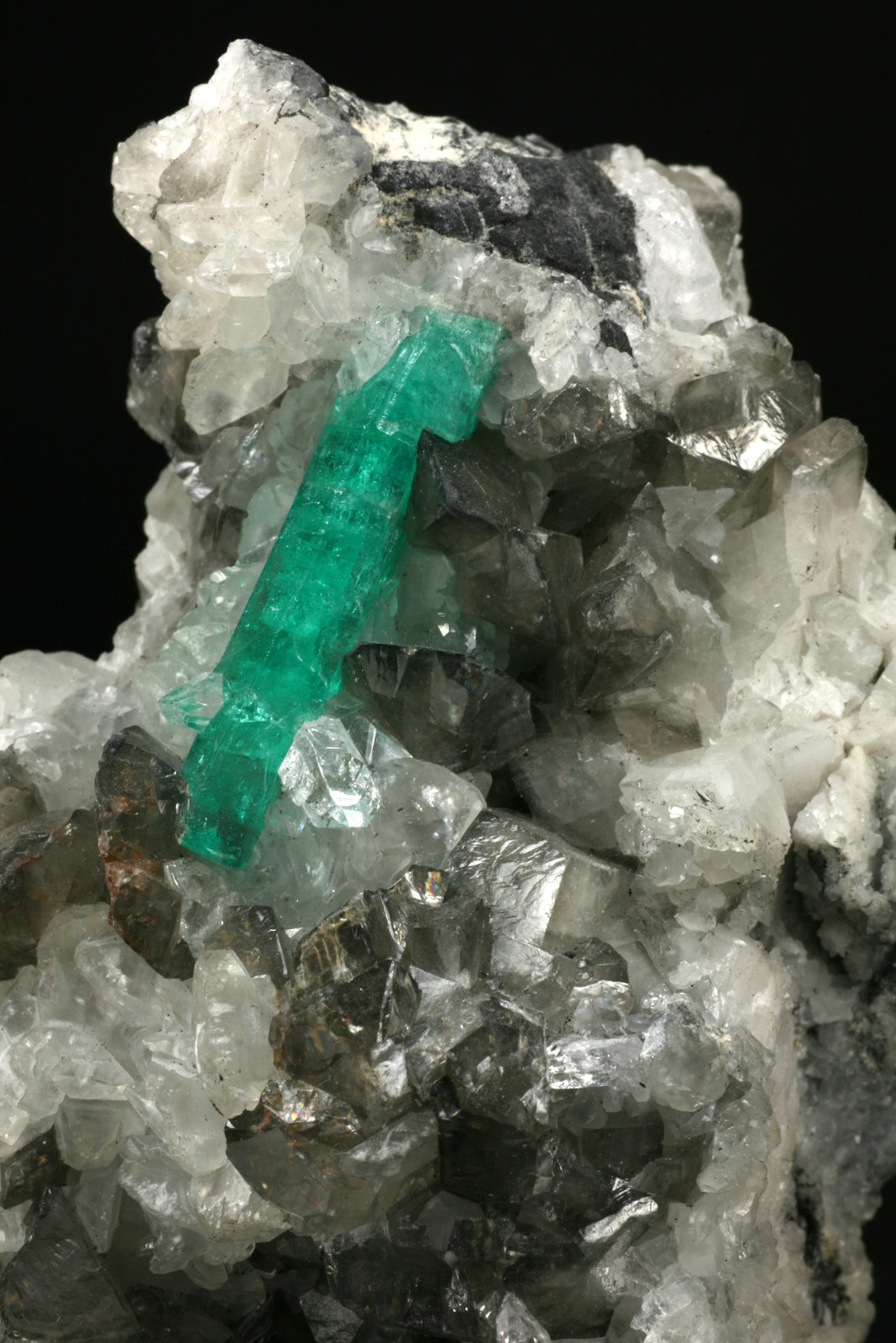 Beryl (variety emerald), Calcite, Quartz
Detail - FOV=6cm
(Autor: Fiebre Verde)