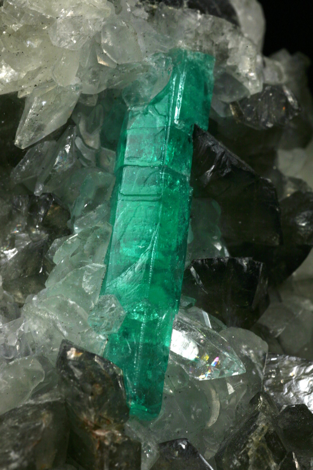 Beryl (variety emerald), Calcite, Quartz
Detail - FOV=3cm
(Autor: Fiebre Verde)