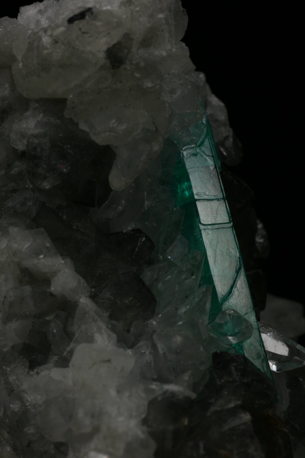 Beryl (variety emerald), Calcite, Quartz
Detail - FOV=4cm
(Autor: Fiebre Verde)