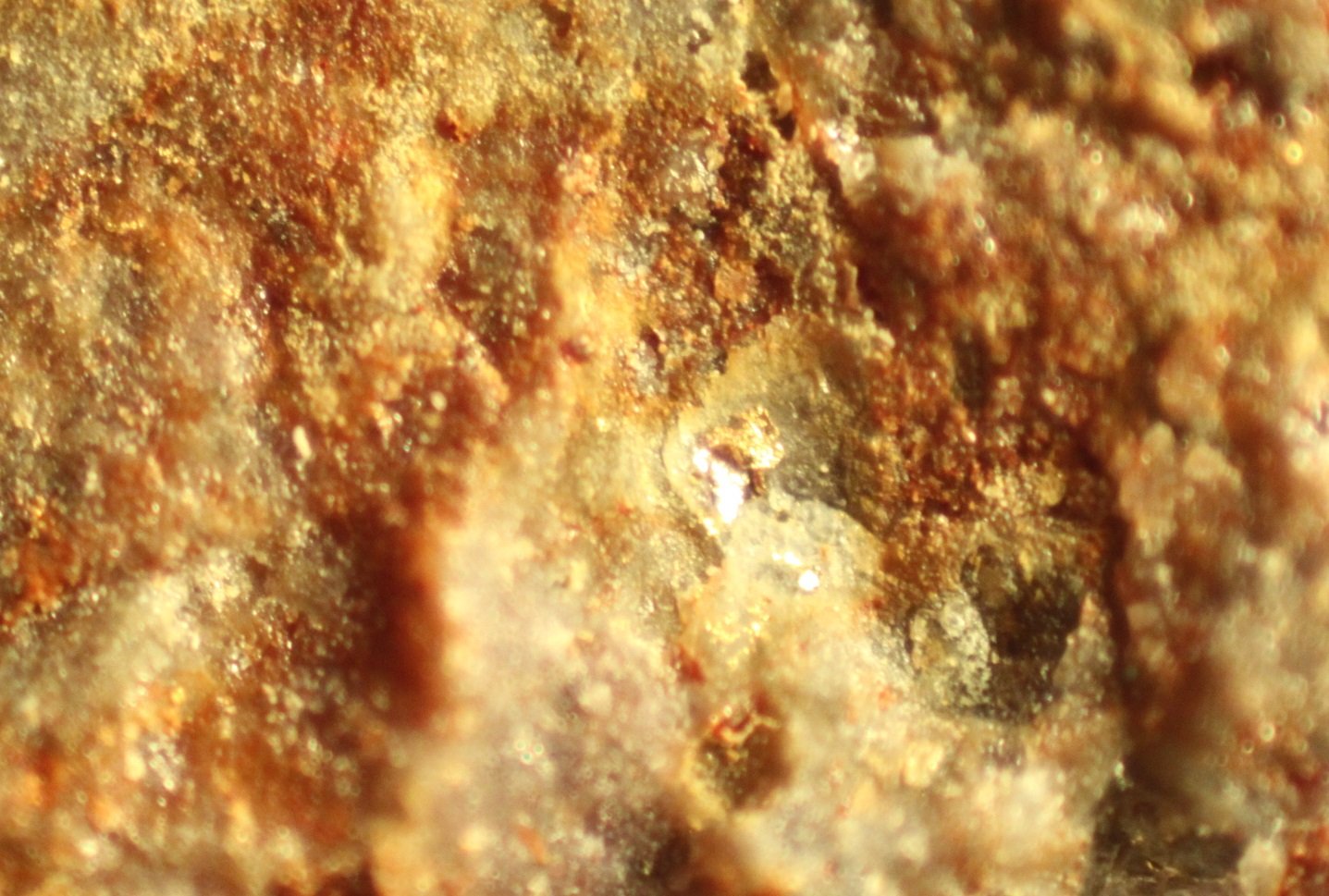 Gold
FOV 6 mm
(Autor: Firmo Espinar)