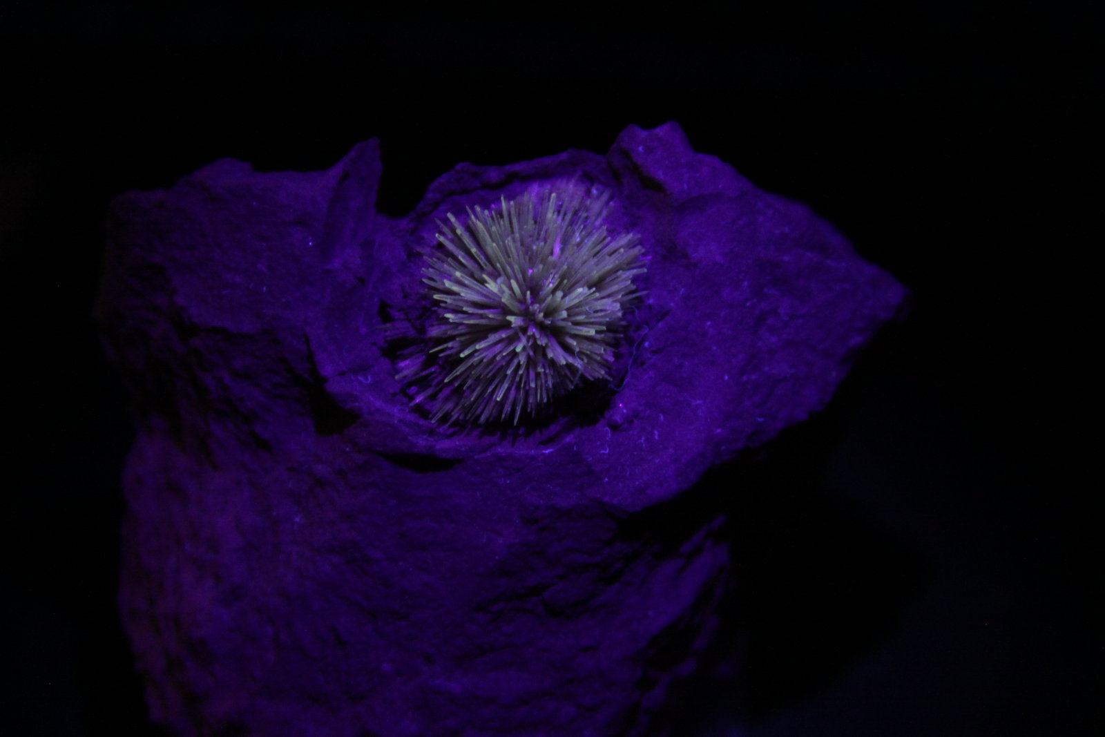 Aragonite
63 mm x 50 mm x 40 mm. Crystal = 16 mm
(Autor: Firmo Espinar)