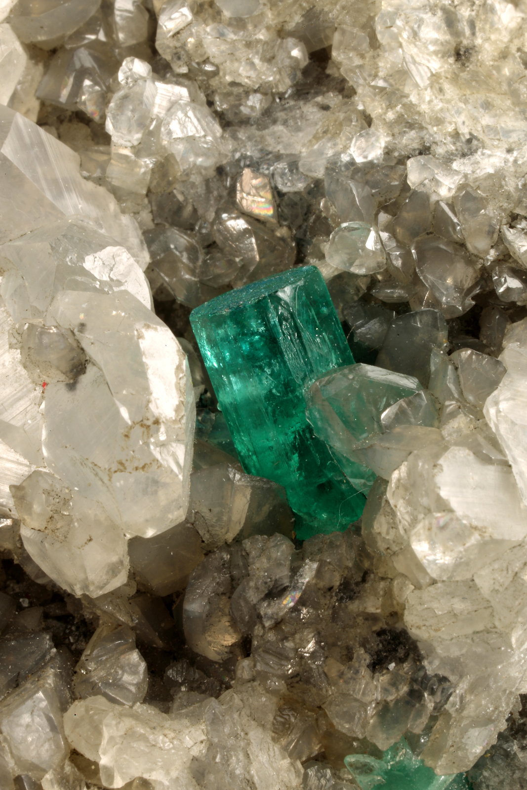 Beryl (variety emerald), Calcite, Pyrite
140x75x80mm, xls=16 & 10mm
(Autor: Fiebre Verde)