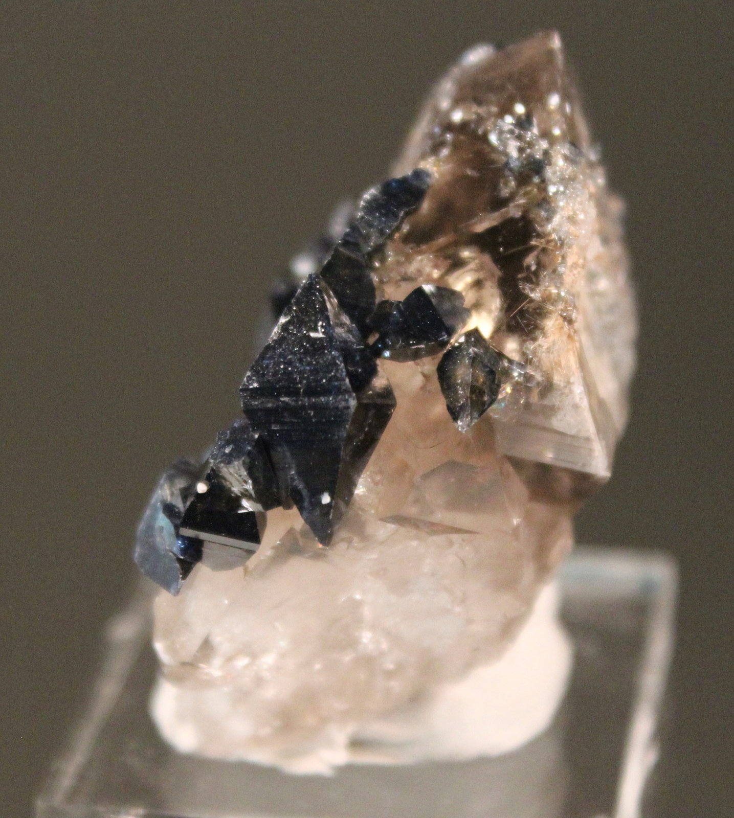 Anatase, Quartz
4.5 x 4.0 cm
(Autor: Don Lum)