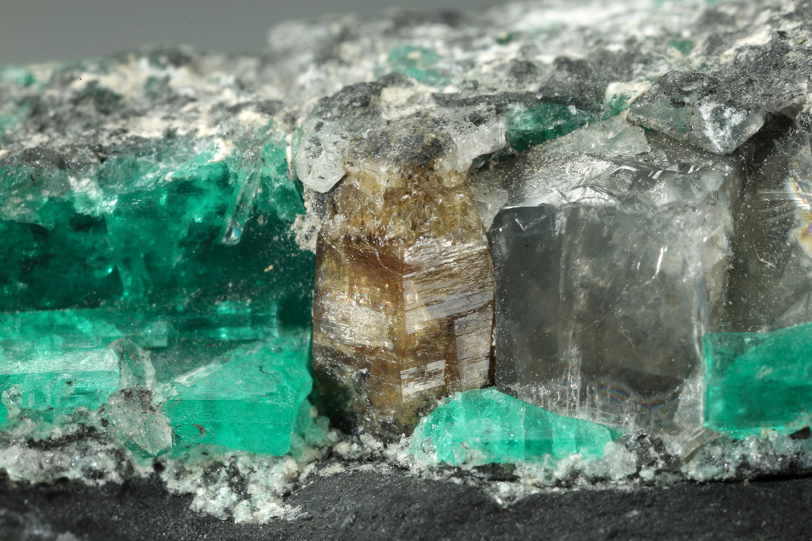 Beryl (variety emerald), Dolomite, Parisite-(Ce)
39x12x22mm, Parisite=5mm, largest Beryl=12mm
(Autor: Fiebre Verde)