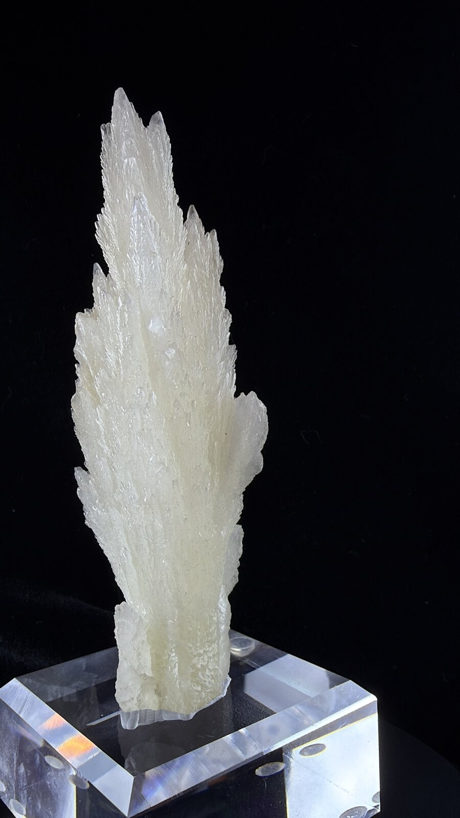 Calcite
2.9cm x 13cm
(Autor: QT.JojoGuo)