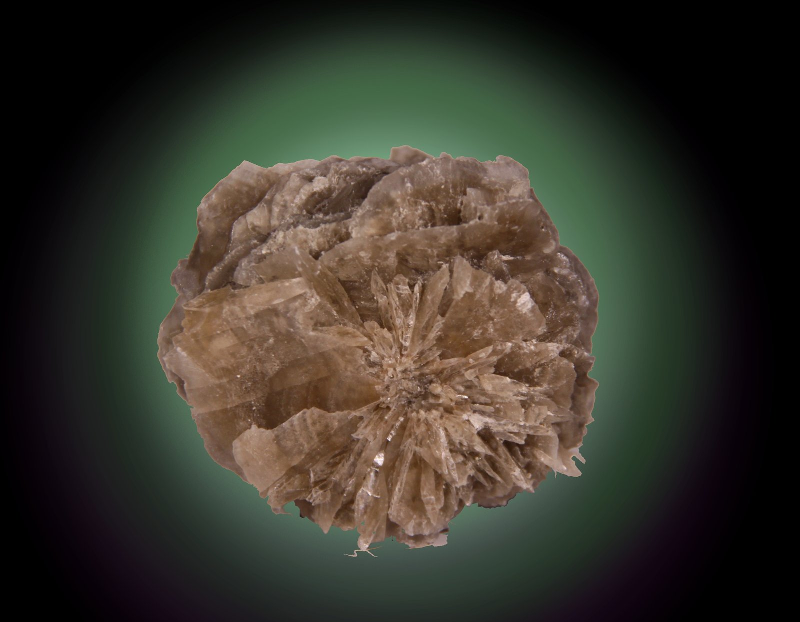 Gypsum
55mm x 50mm x 40mm
(Autor: Firmo Espinar)