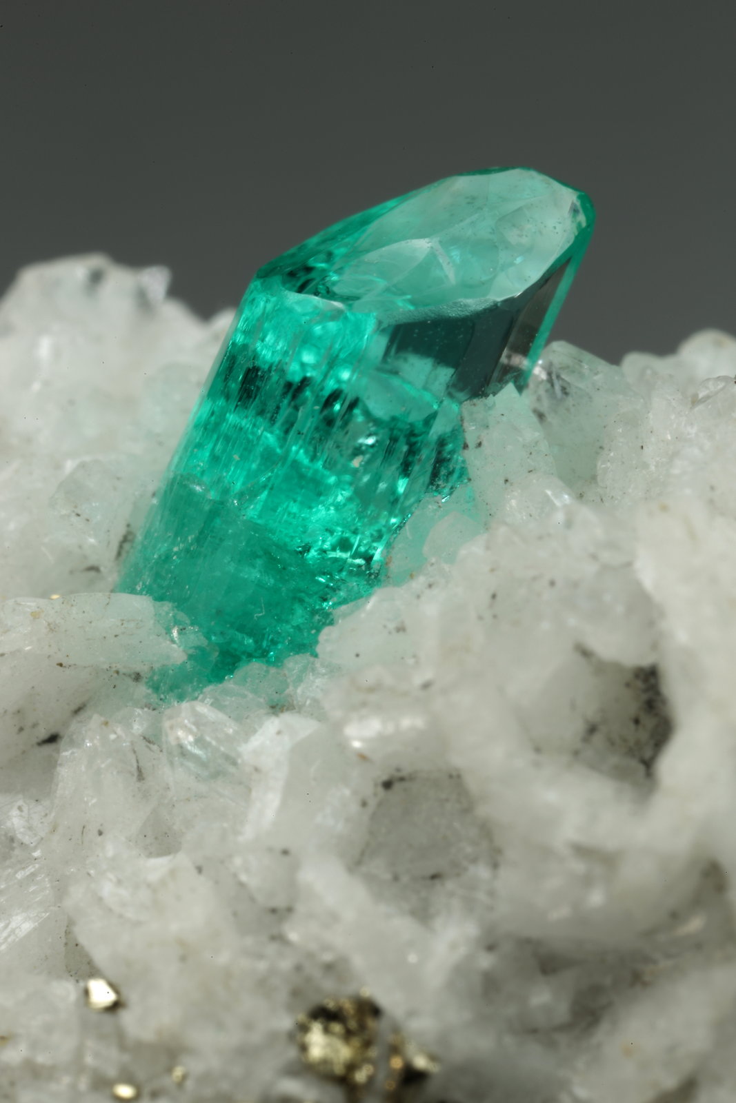 Beryl (variety emerald), Albite (variety cleavelandite), Pyrite
24x13x11mm, xl=6mm
(Autor: Fiebre Verde)
