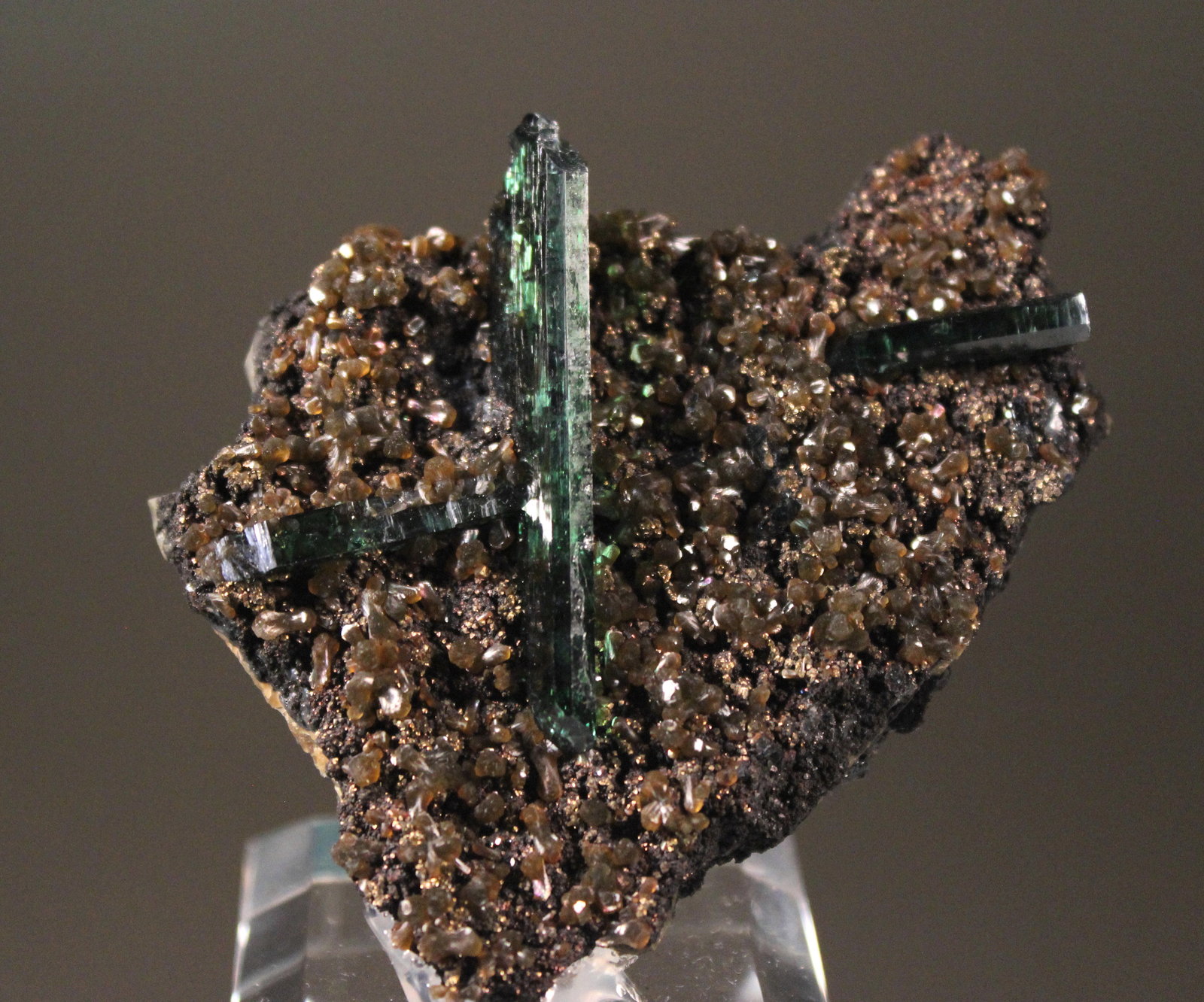 Vivianite
65mm x 54mm
(Autor: Don Lum)