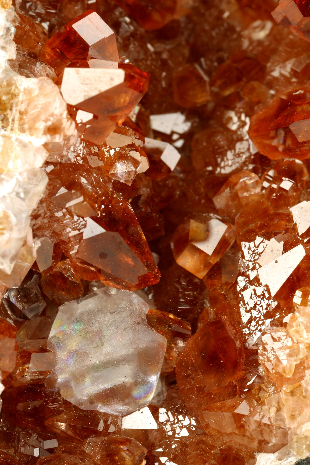 Rhodochrosite, Fluorite, Quartz, Goethite
115x110x50mm
(Autor: Fiebre Verde)