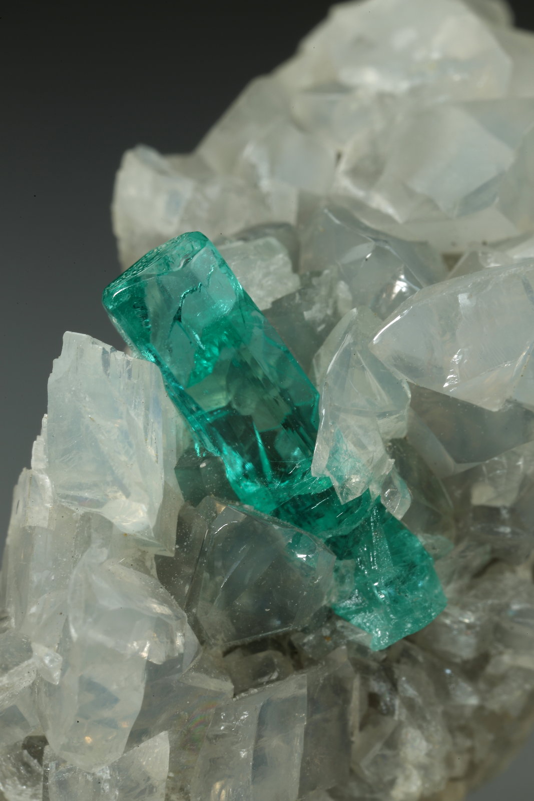 Beryl (variety emerald), Dolomite, Pyrite
36x21x19mm, xl=13mm
(Autor: Fiebre Verde)