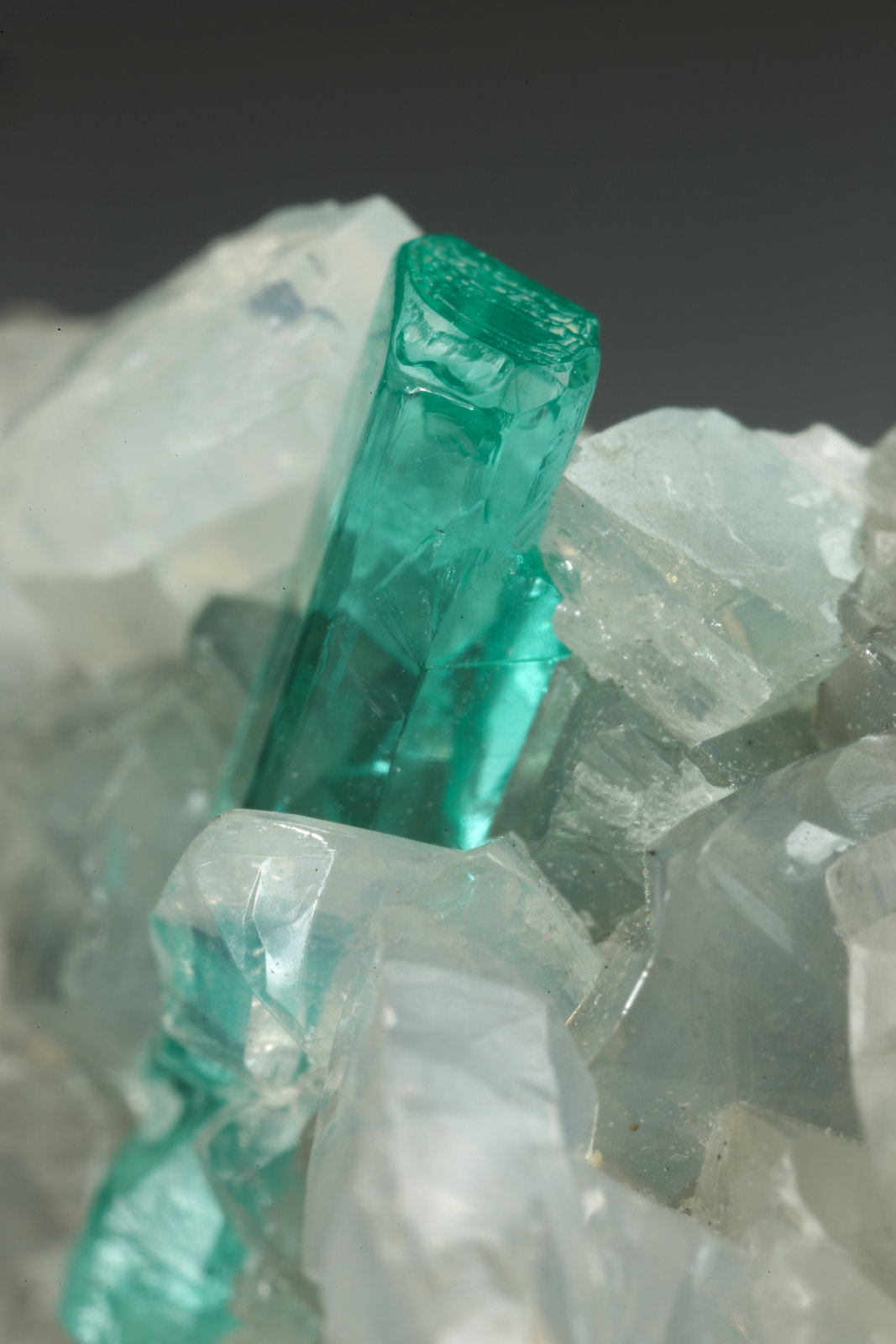 Beryl (variety emerald), Dolomite, Pyrite
36x21x19mm, xl=13mm
(Autor: Fiebre Verde)