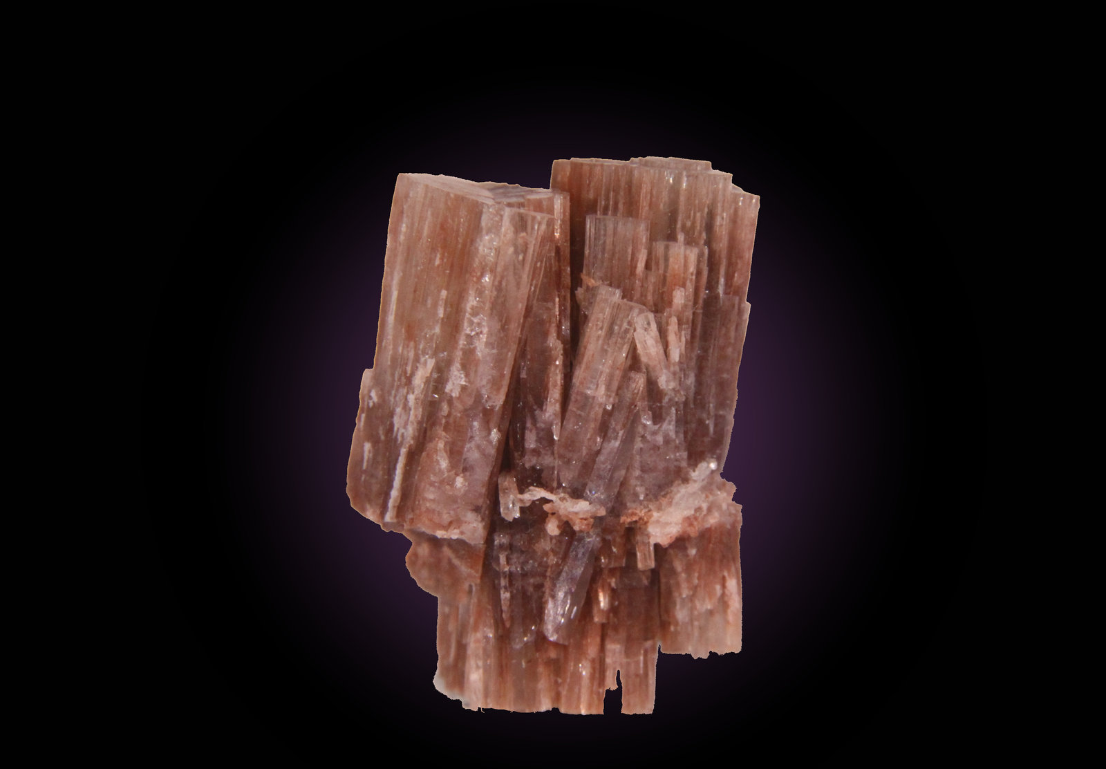 Aragonite
24mm x 35mm x 18mm
(Autor: Firmo Espinar)