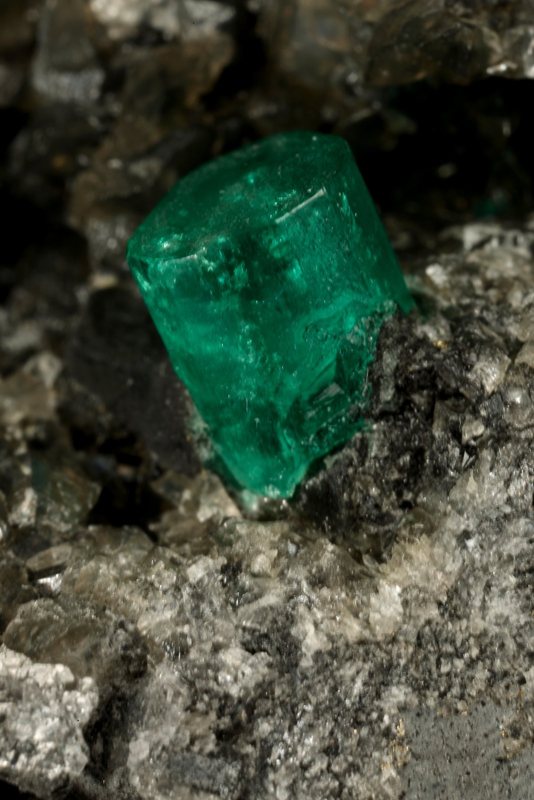 Beryl (variety emerald), Calcite, Pyrite
76x47x45mm, xl=7x5mm
(Autor: Fiebre Verde)