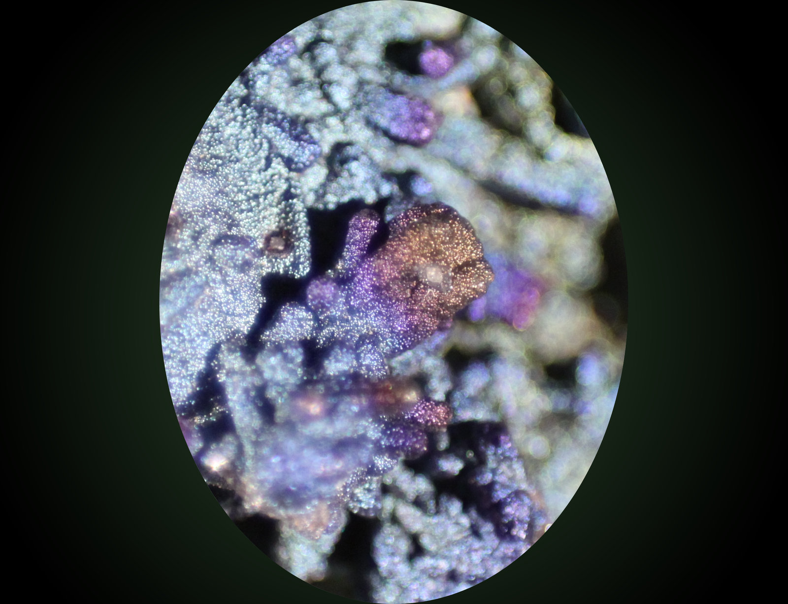Cerussite, Goethite
FOV 6mm high
(Autor: Firmo Espinar)