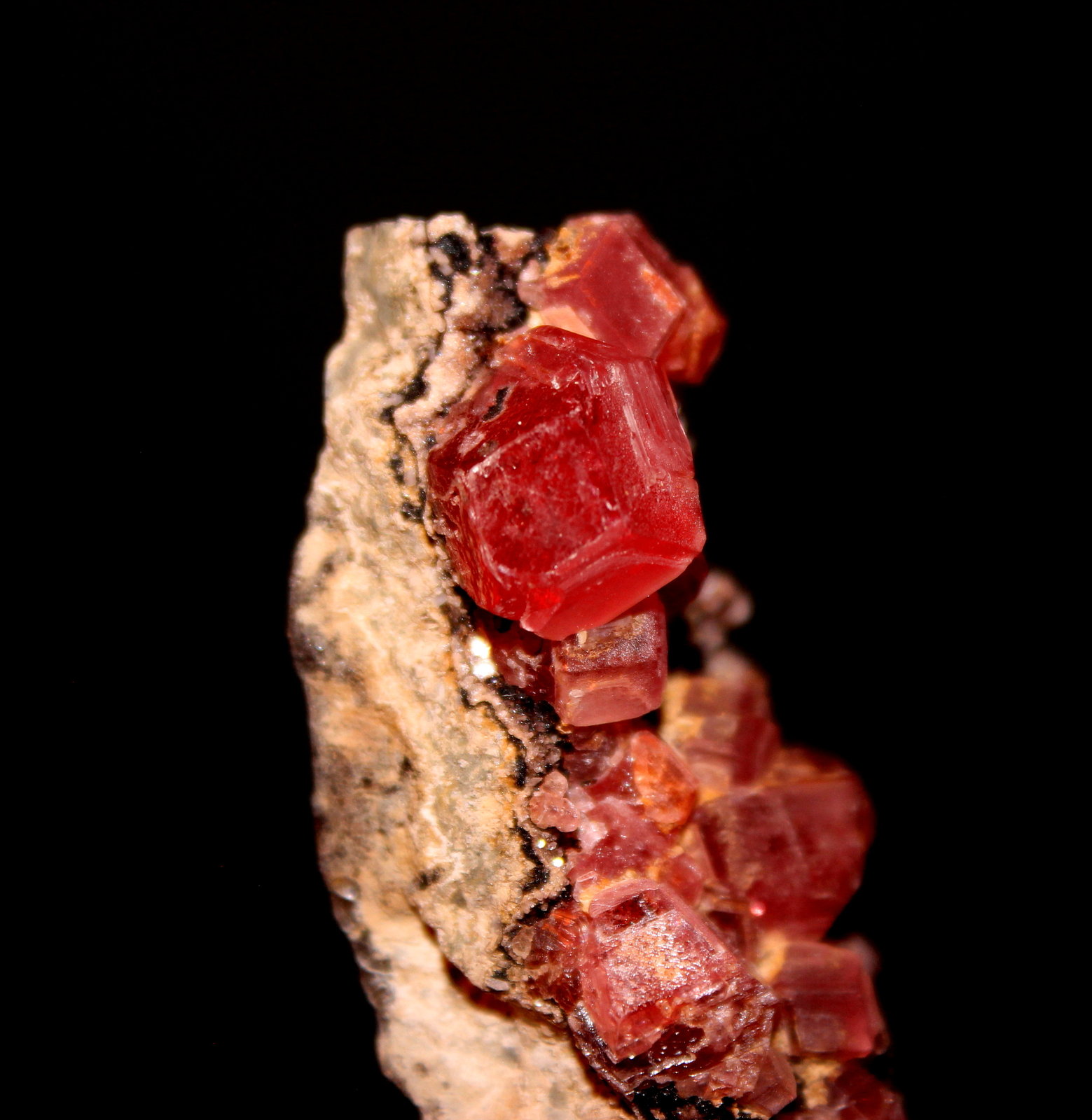 Rhodochrosite
51 mm x 24 mm
(Autor: Don Lum)