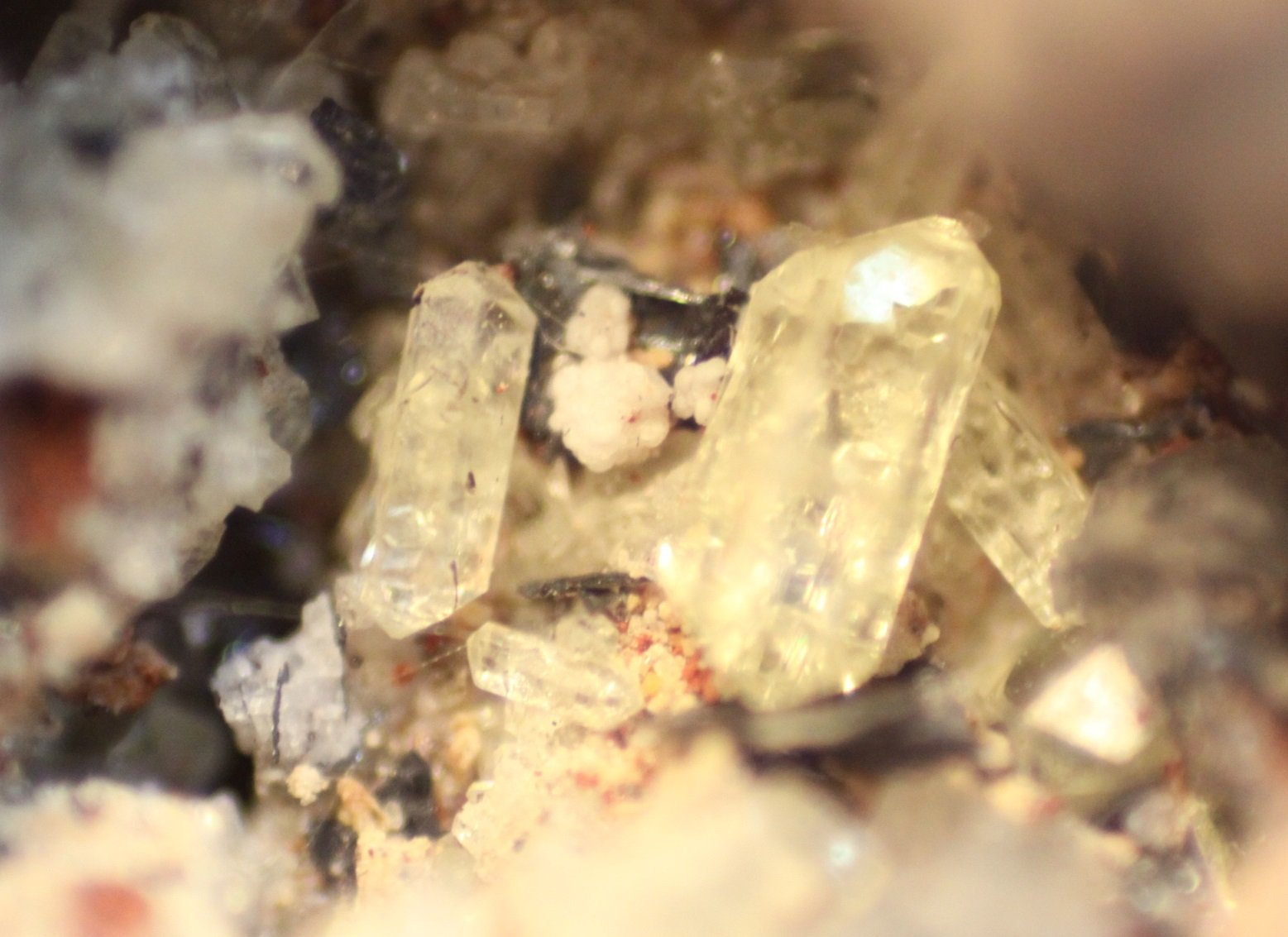 Fluorapatite
FOV 7 mm
(Autor: Firmo Espinar)