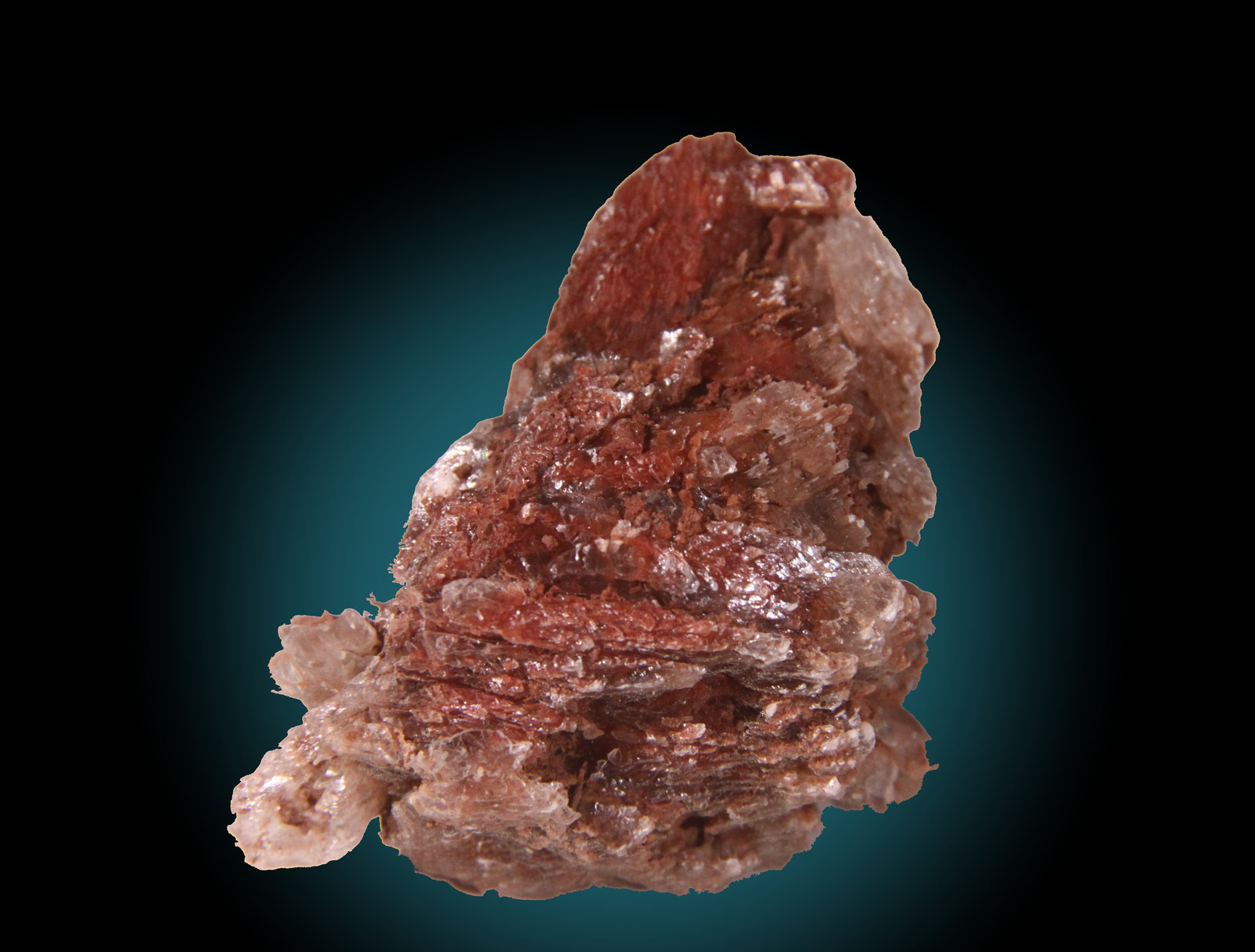 Gypsum
50mm x 55mm x 45mm
(Autor: Firmo Espinar)