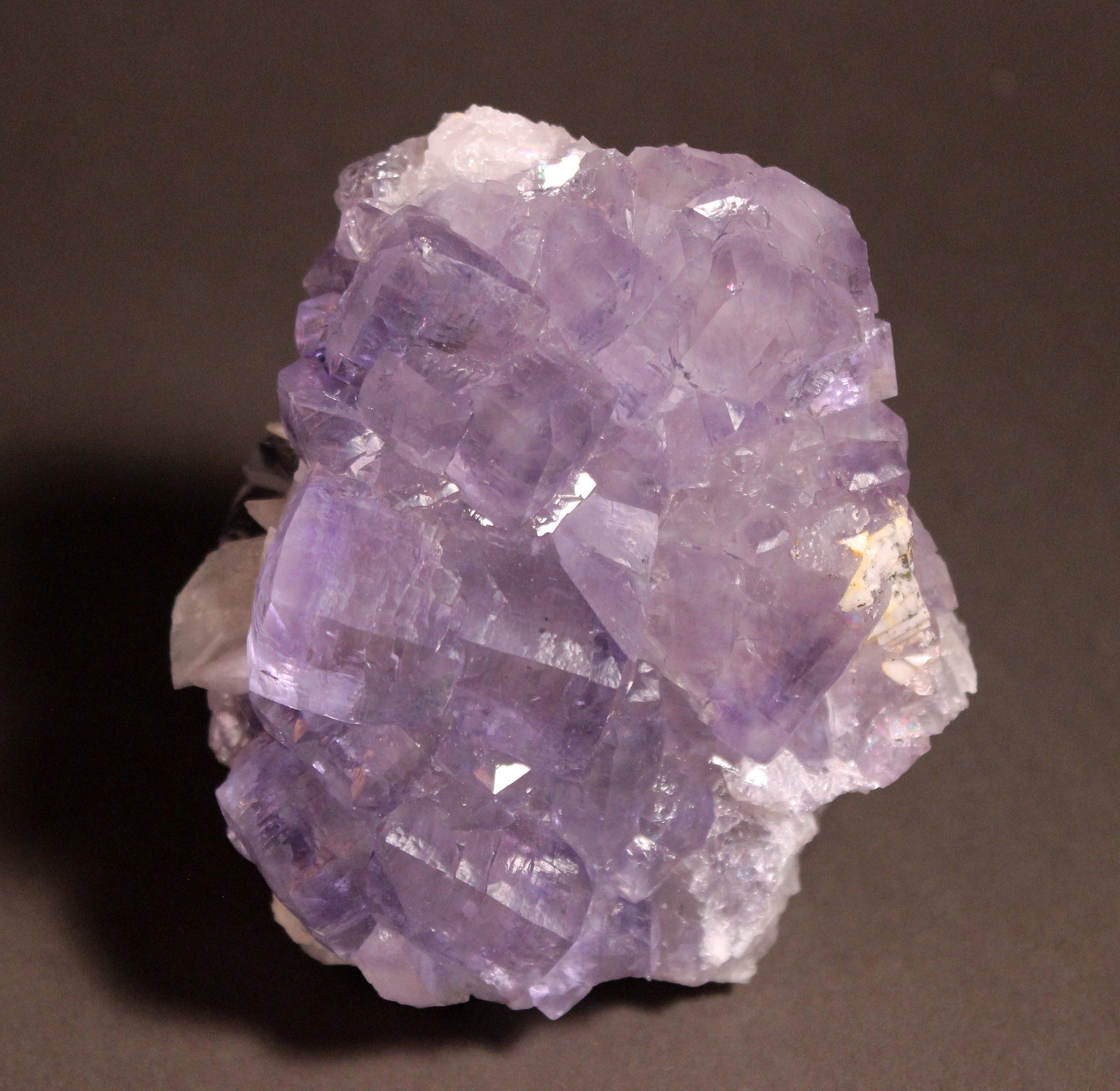 Fluorite, Barite, Calcite
105 mm x 90 mm
(Autor: Don Lum)