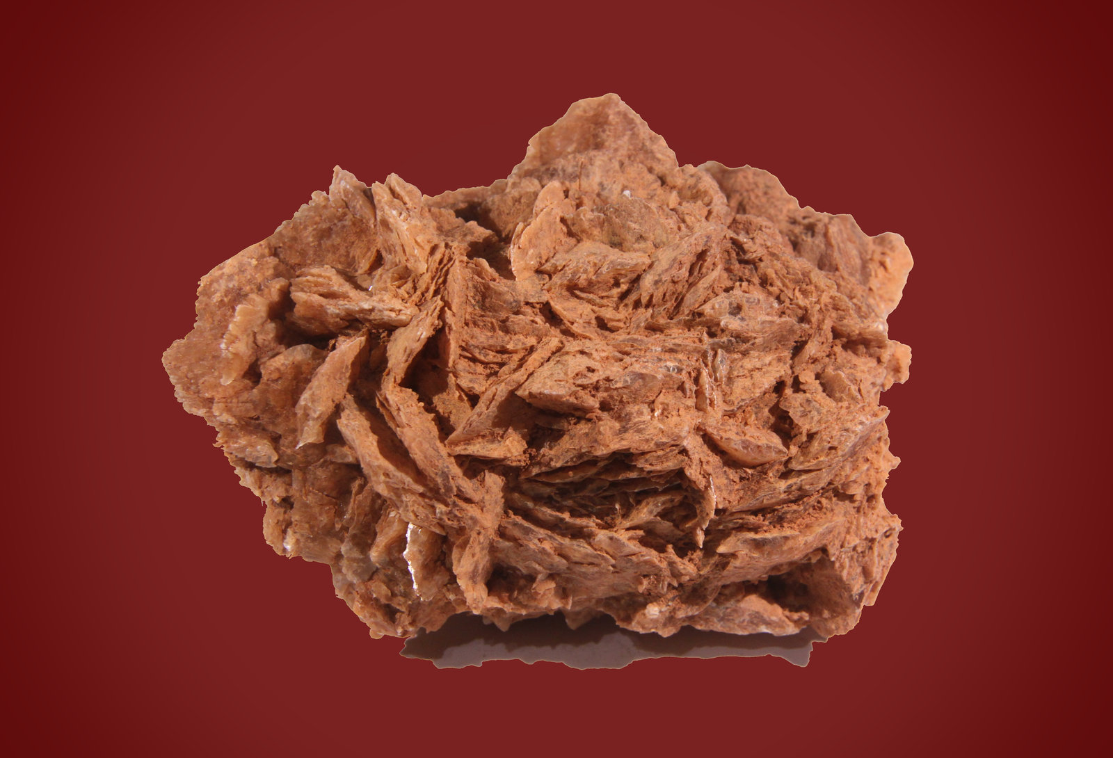 Gypsum
114mm x 85mm x 57mm
(Autor: Firmo Espinar)