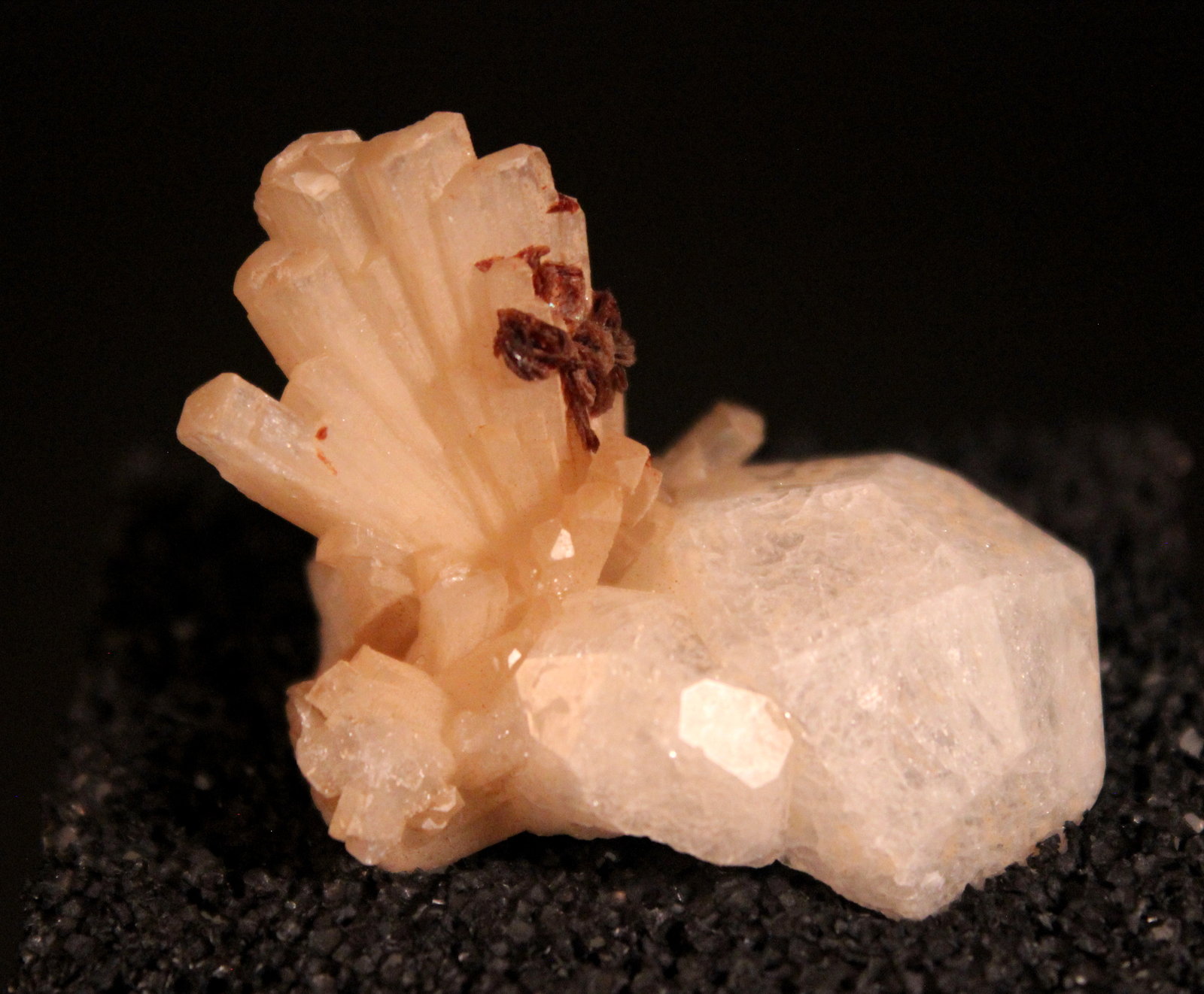 Natrolite, Analcime, Rhodochrosite
40 mm x 30 mm 25 mm
(Autor: Don Lum)