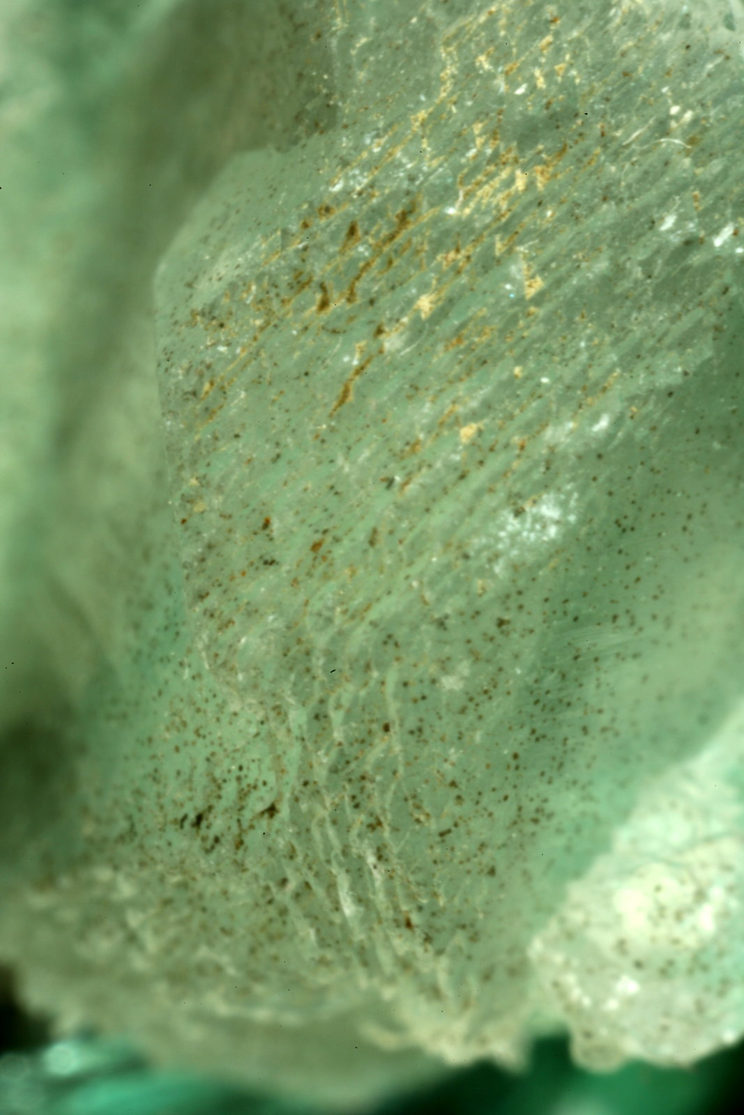Beryl (variety emerald), Calcite
85x80x60mm - FOV=4mm
(Autor: Fiebre Verde)