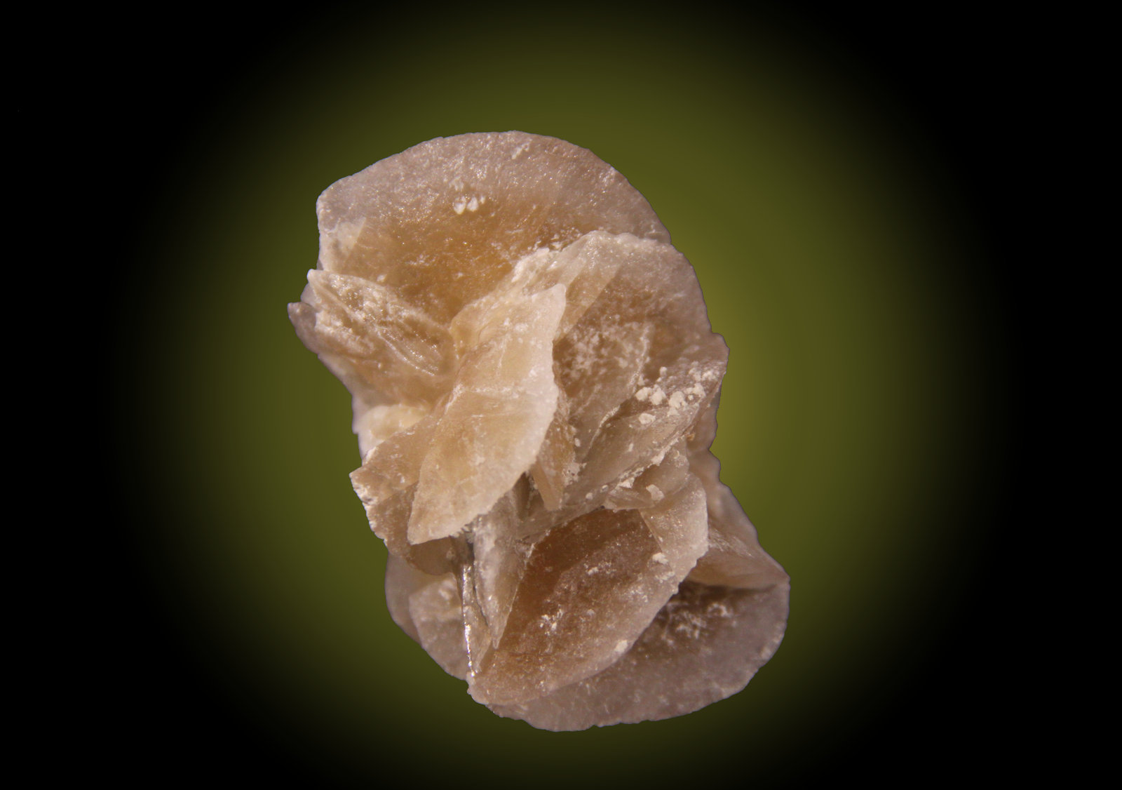 Gypsum
35mm x 50mm x 30mm
(Autor: Firmo Espinar)