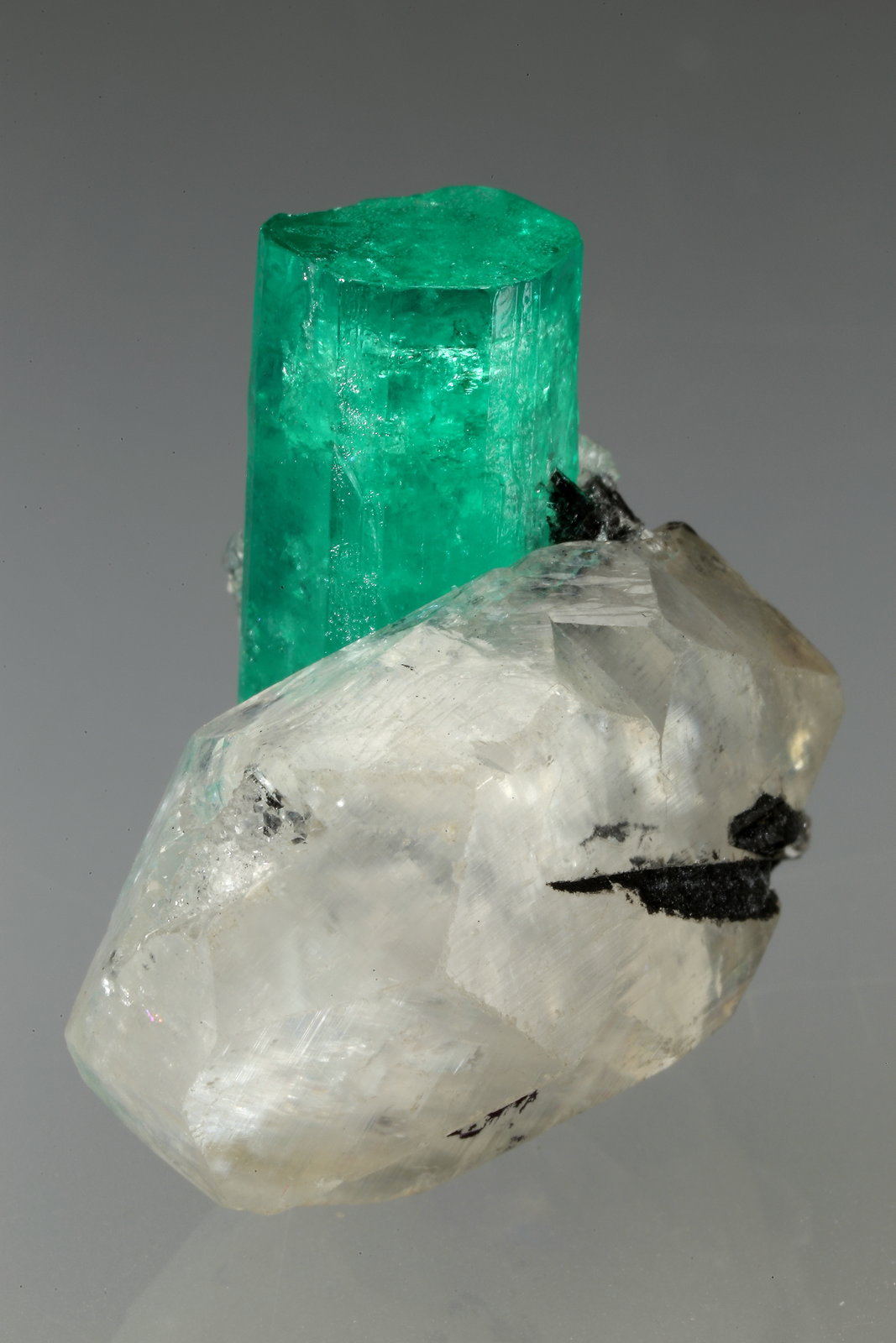 Beryl (variety emerald), Calcite
xl=25x8mm
(Autor: Fiebre Verde)