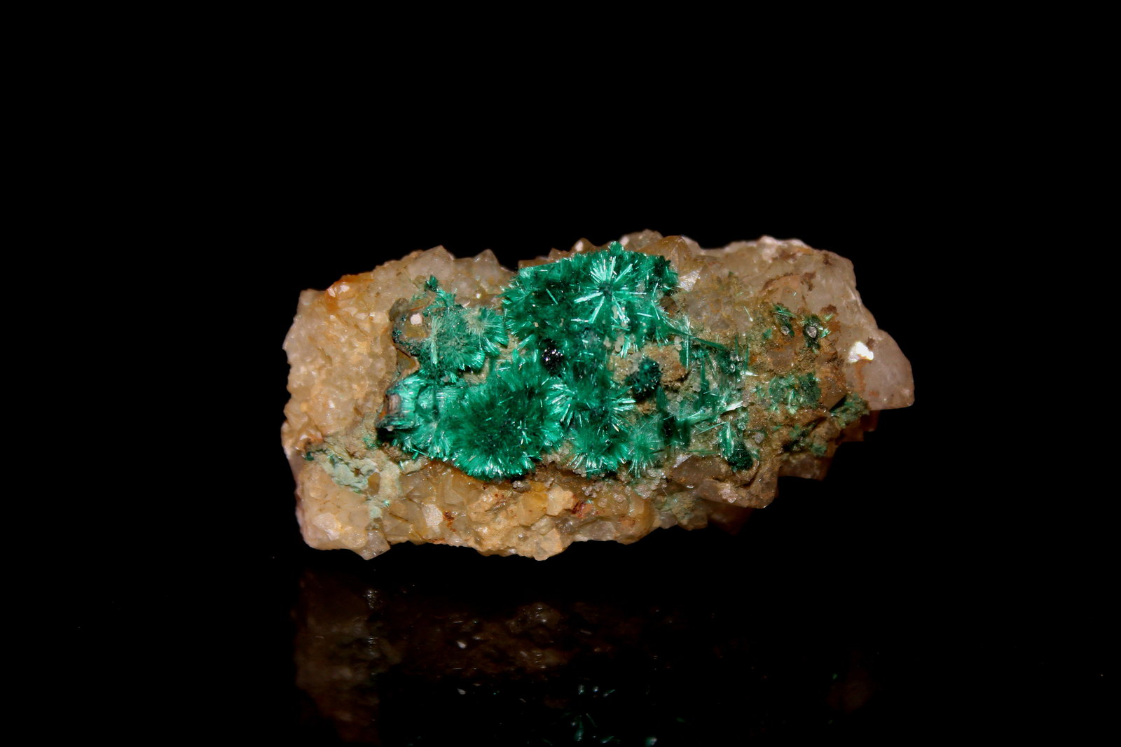 Brochantite, Quartz
55 mm x 26 mm x 23 mm
(Autor: Don Lum)