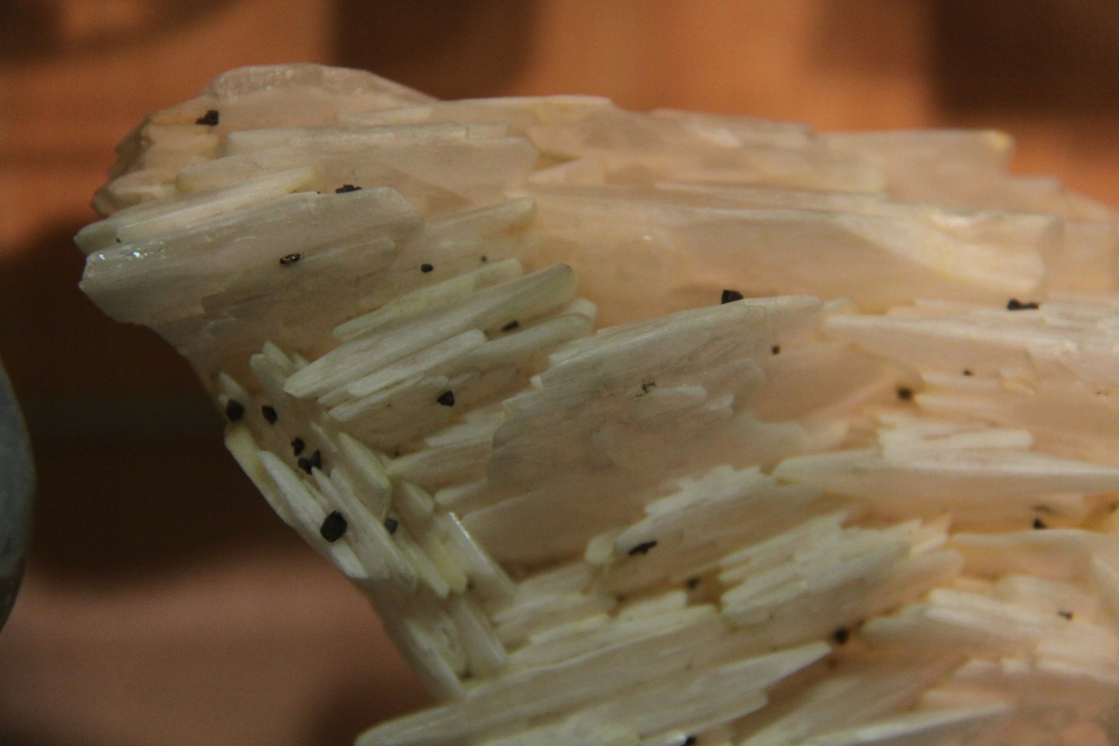 Barite and Chalcopyrite
17 x 11 x 4 cm
(Autor: Firmo Espinar)