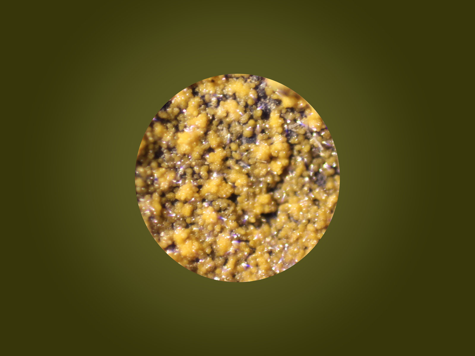 Mimetite
FOV 4mm
(Autor: Firmo Espinar)