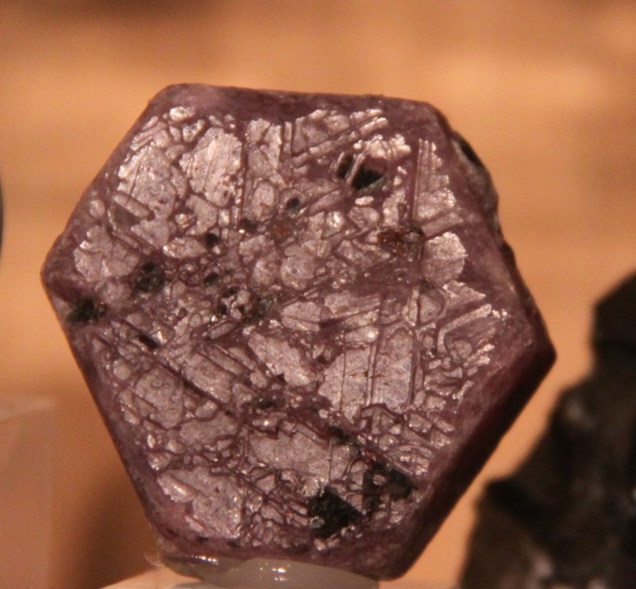 Corundum (variety ruby)
39mm x 34mm x 17mm
(Autor: Firmo Espinar)