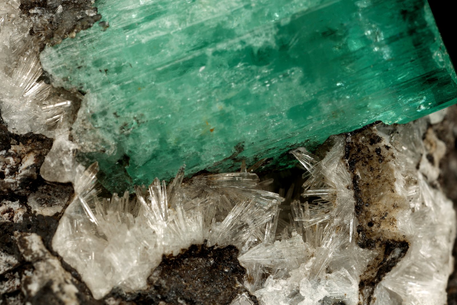 Beryl (variety emerald), Calcite, Parisite, Aragonite(?)
38x40x31mm, xl=15x10mm
(Autor: Fiebre Verde)