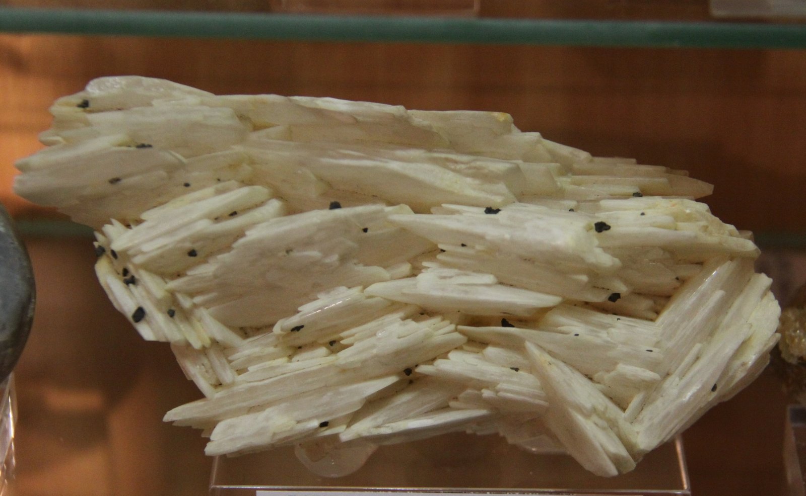 Barite and Chalcopyrite
17 x 11 x 4 cm
(Autor: Firmo Espinar)