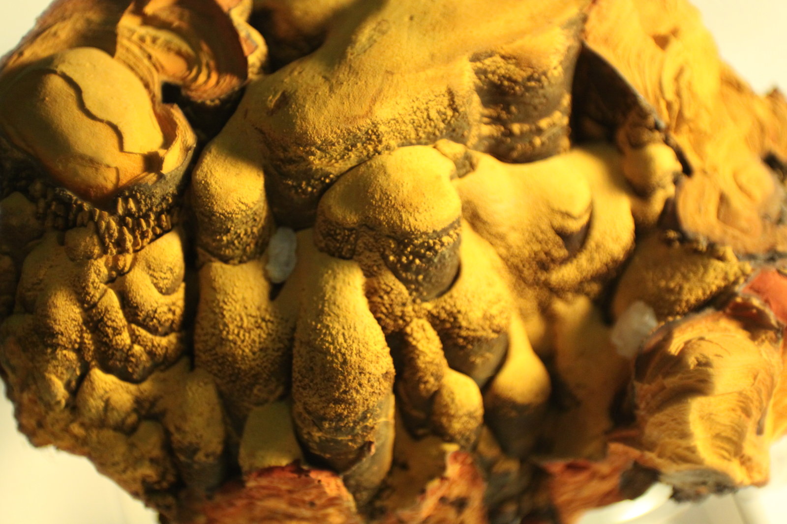 limonite
64mm x 55mm x 52mm
(Autor: Firmo Espinar)