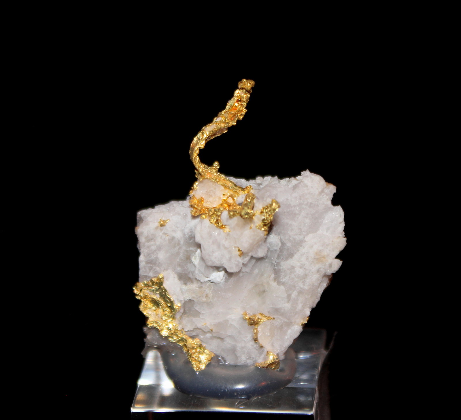 Gold, Quartz
33 mm x 25 mm 10 mm
(Autor: Don Lum)