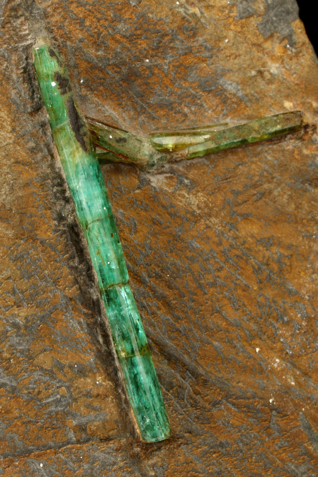 Beryl (Var. Emerald)
46x78x24mm, longest xl=31mm
(Autor: Fiebre Verde)