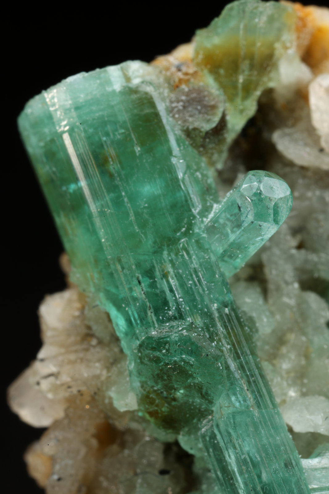 Beryl (variety emerald), Albite (variety cleavelandite)
39x27x19mm, longest xl=22mm
(Autor: Fiebre Verde)