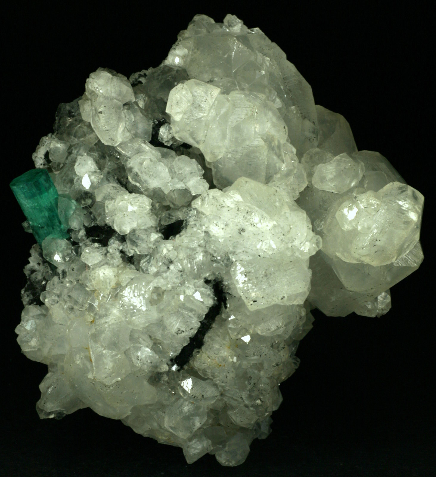 80x55x80mm
(Autor: Fiebre Verde)