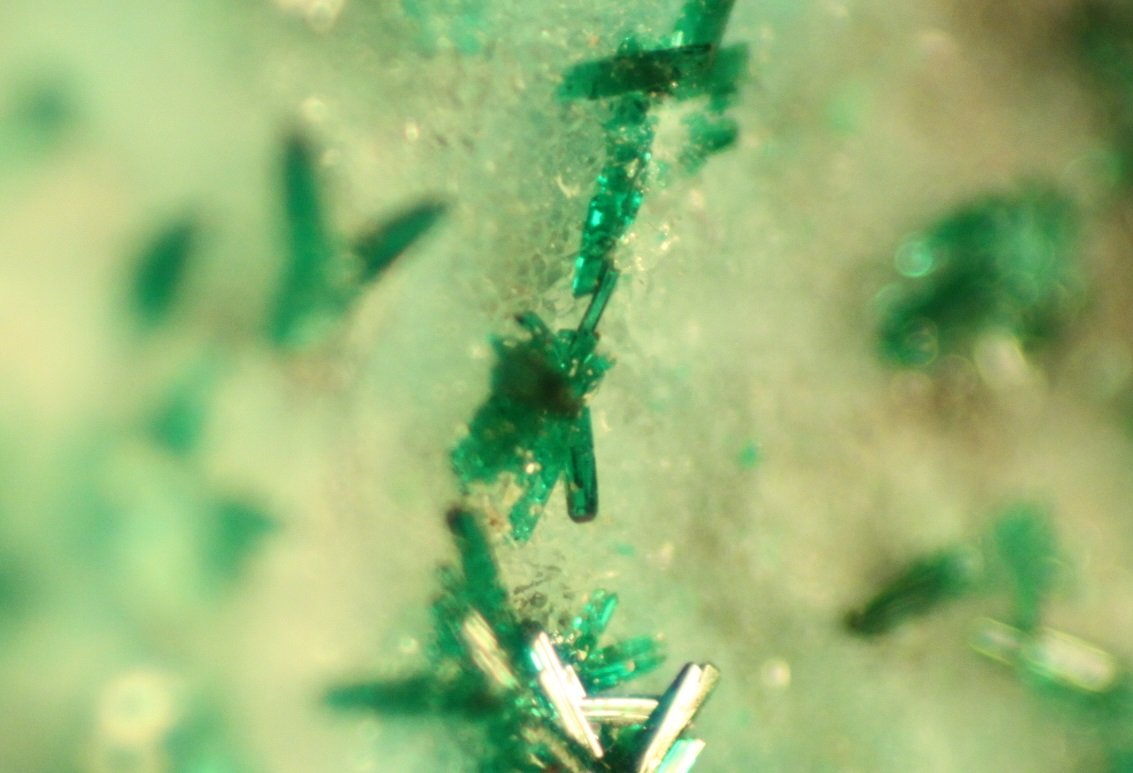 Atacamite
FOV 5 mm
(Autor: Firmo Espinar)