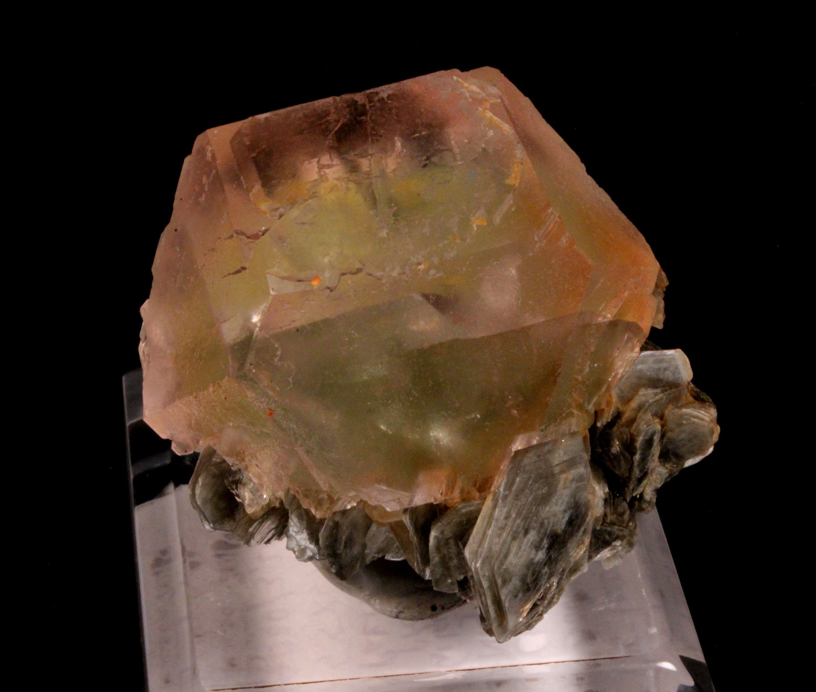 Fluorite, Muscovite
55mm x 50mm x 35mm
(Autor: Don Lum)